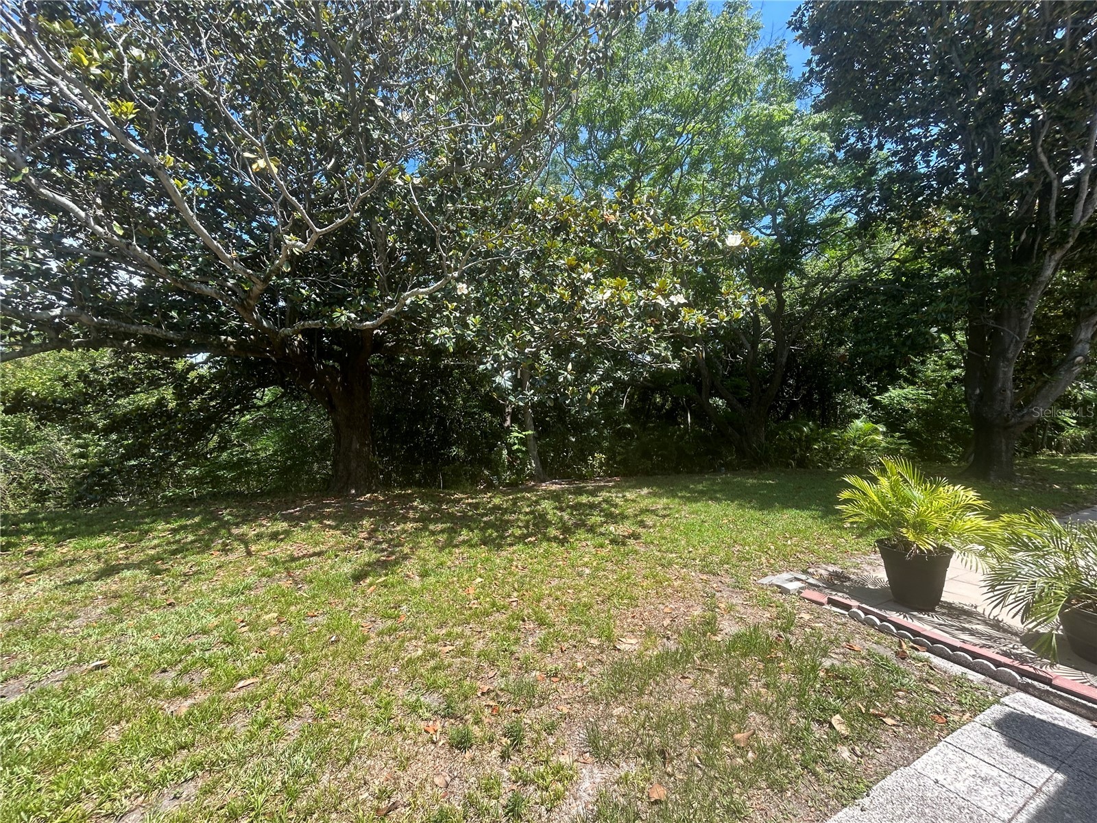 1351 Mission Circle #48-E Clearwater FL 33759 TB8512725 image18