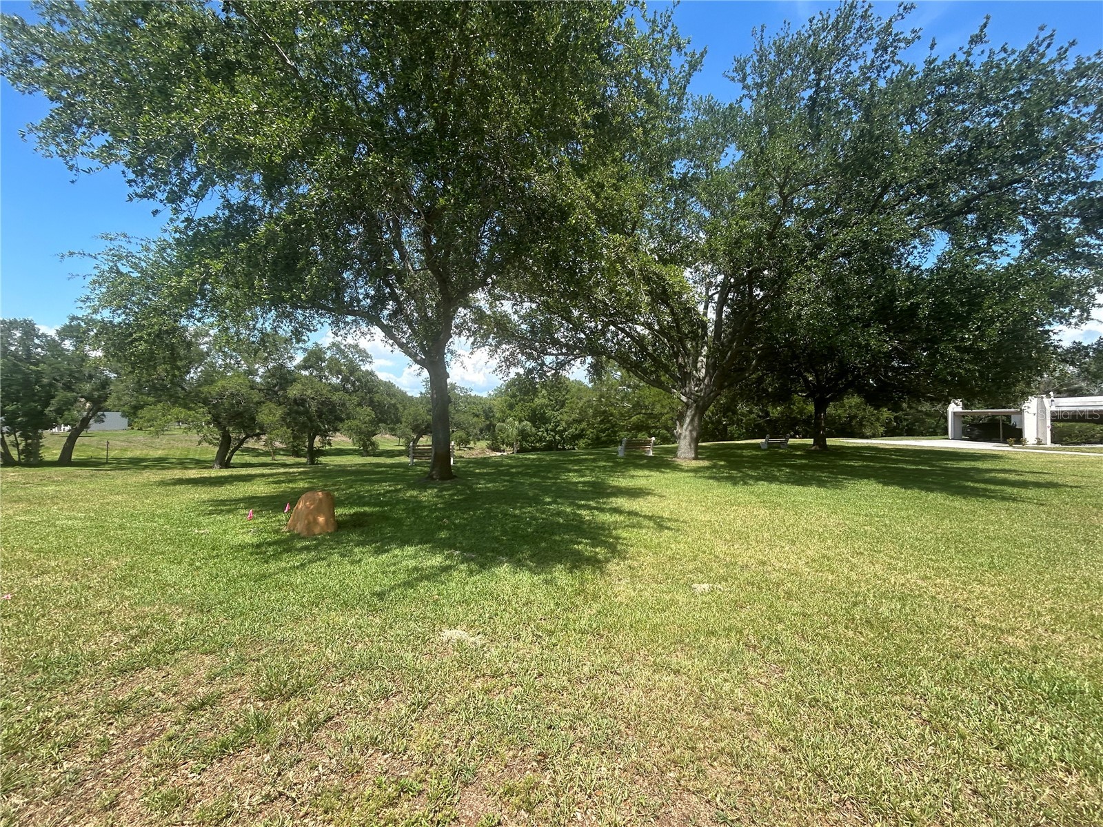 1351 Mission Circle #48-E Clearwater FL 33759 TB8512725 image21
