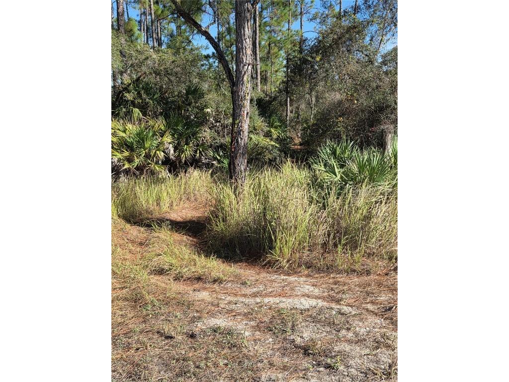 1351 R E Byrd Rd Frostproof FL 33843 K4903152 image1