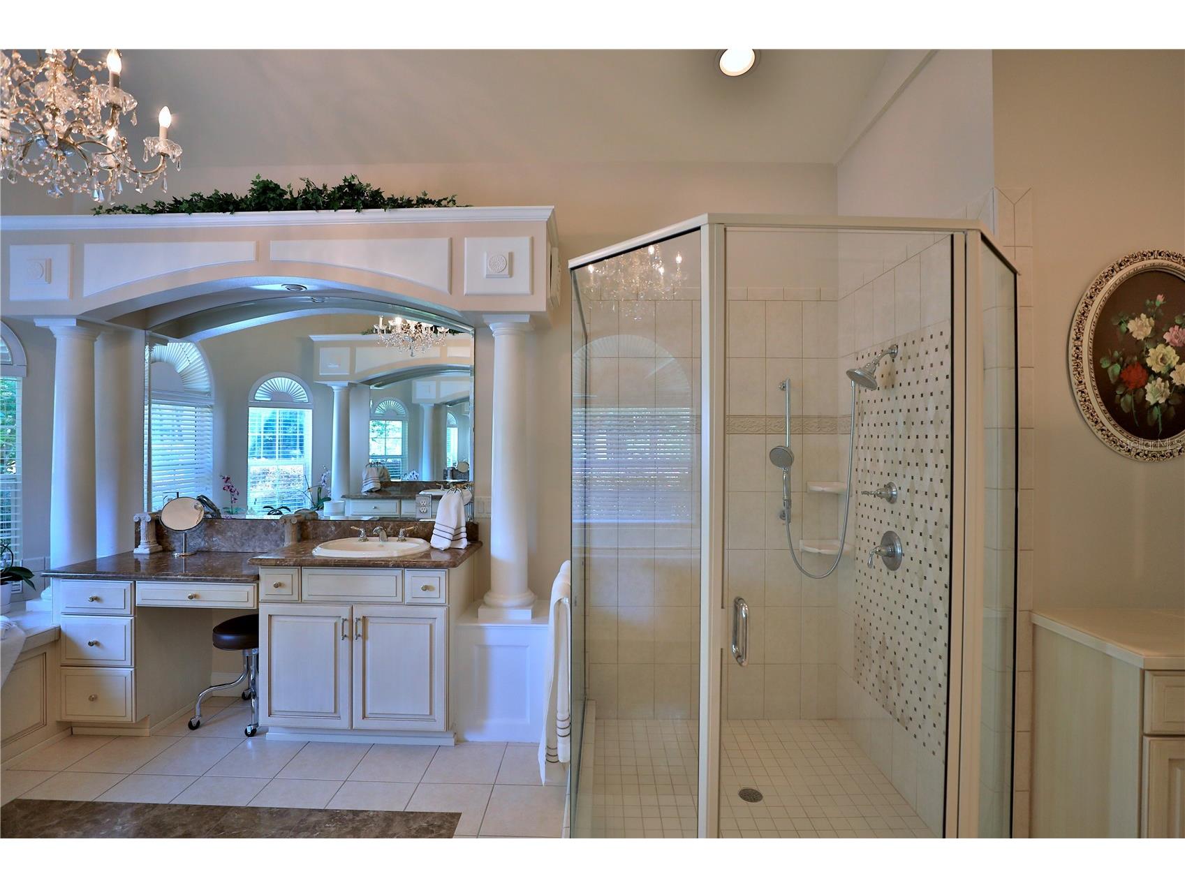 1351 SE 91st Place Ocala FL 34480 OM726733 image28