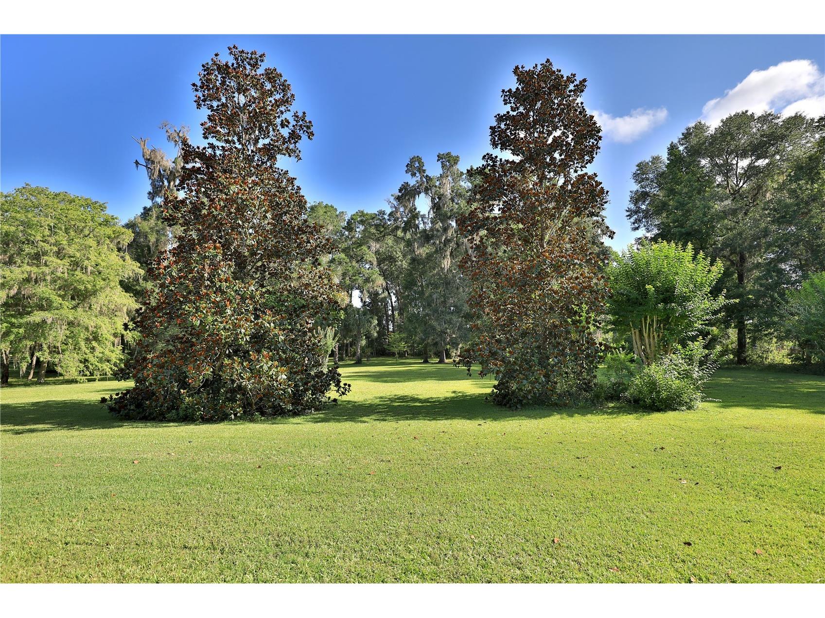 1351 SE 91st Place Ocala FL 34480 OM726733 image43