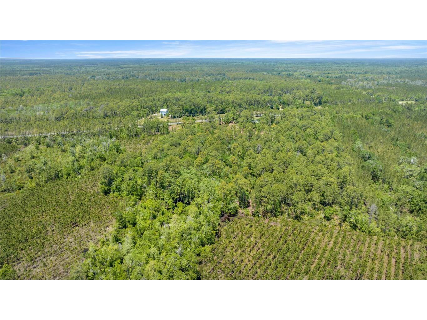 1351 SW State Road 24 Chiefland FL 32626 OM711553 image4