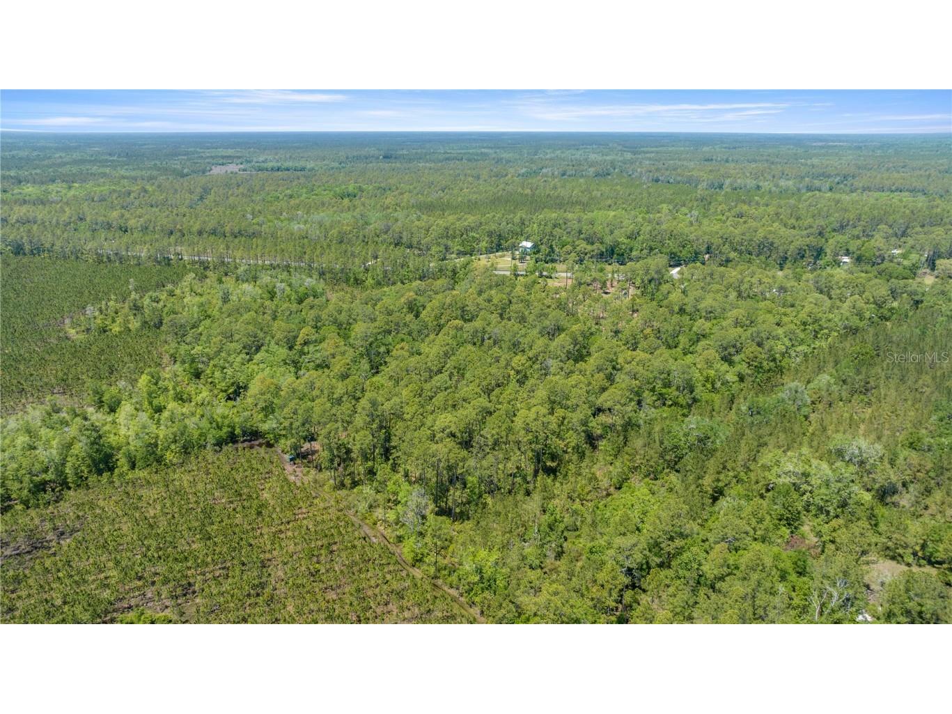 1351 SW State Road 24 Chiefland FL 32626 OM711553 image5