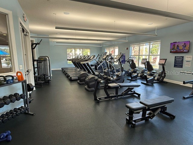 1351 Venezia Court #304 Davenport FL 33896 O6270445 image36