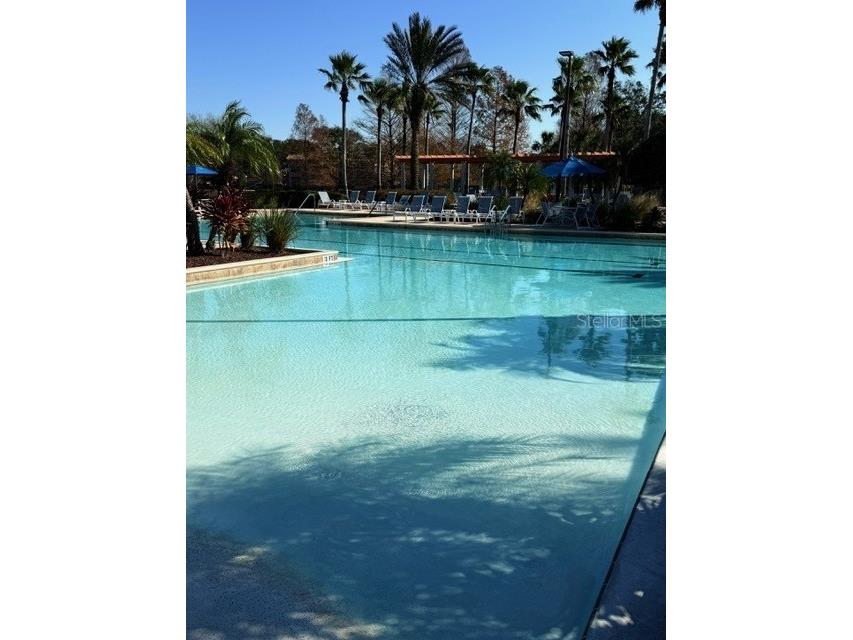 1351 Venezia Court #304 Davenport FL 33896 O6270445 image41