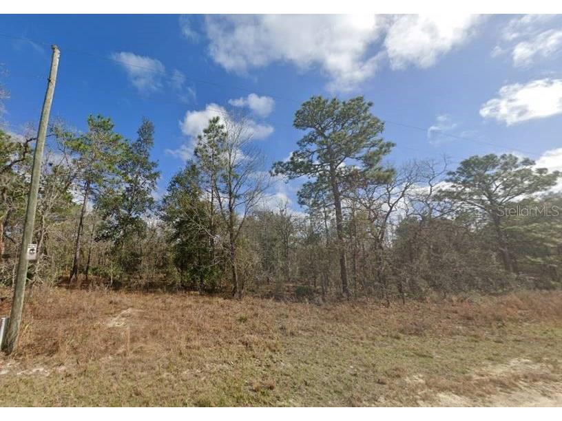 13510 Downy Woodpecker Road Weeki Wachee FL 34614 OM691853 image1