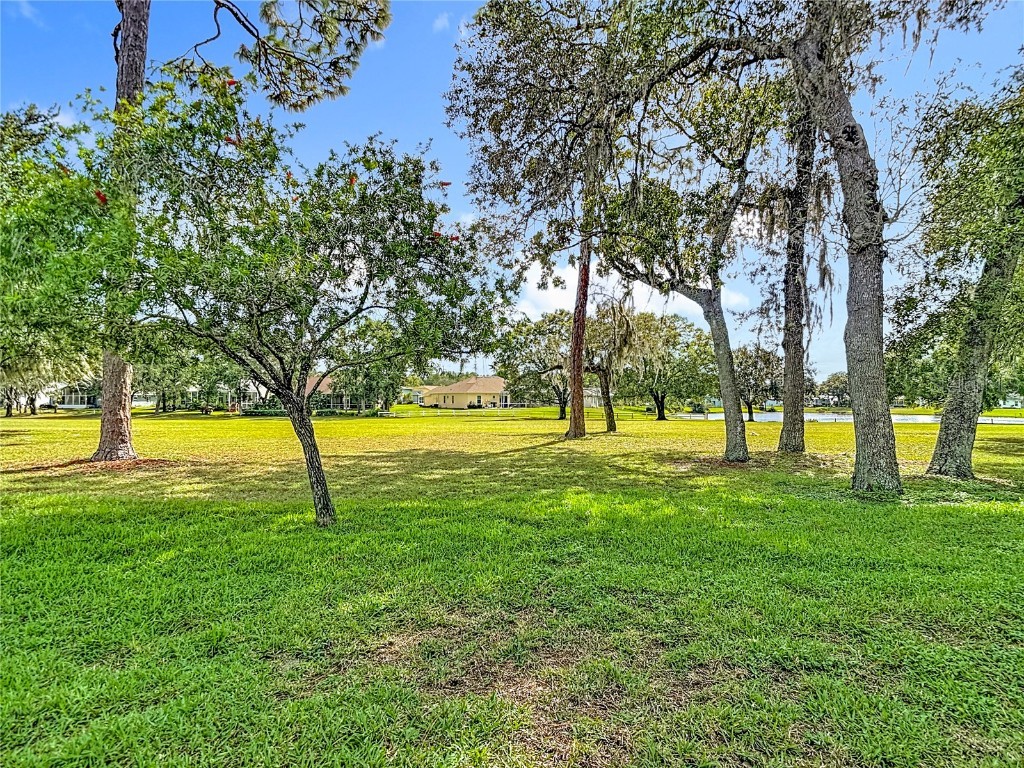 13510 Knotty Lane Hudson FL 34669 W7879812 image57