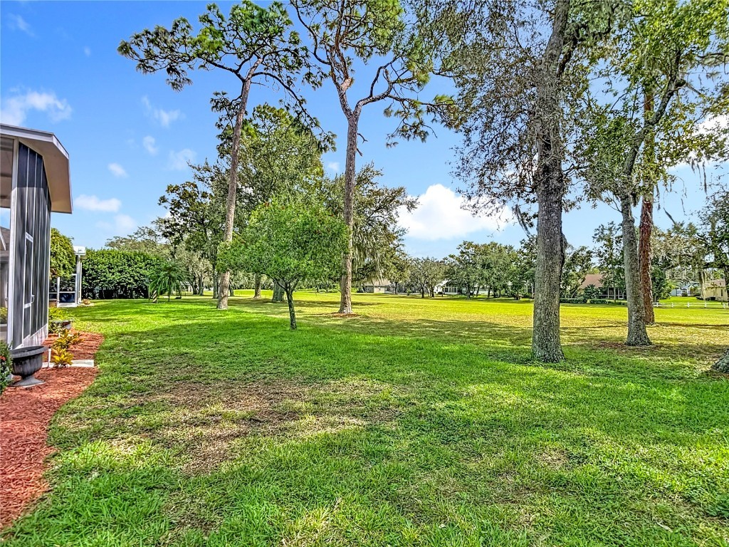 13510 Knotty Lane Hudson FL 34669 W7879812 image58