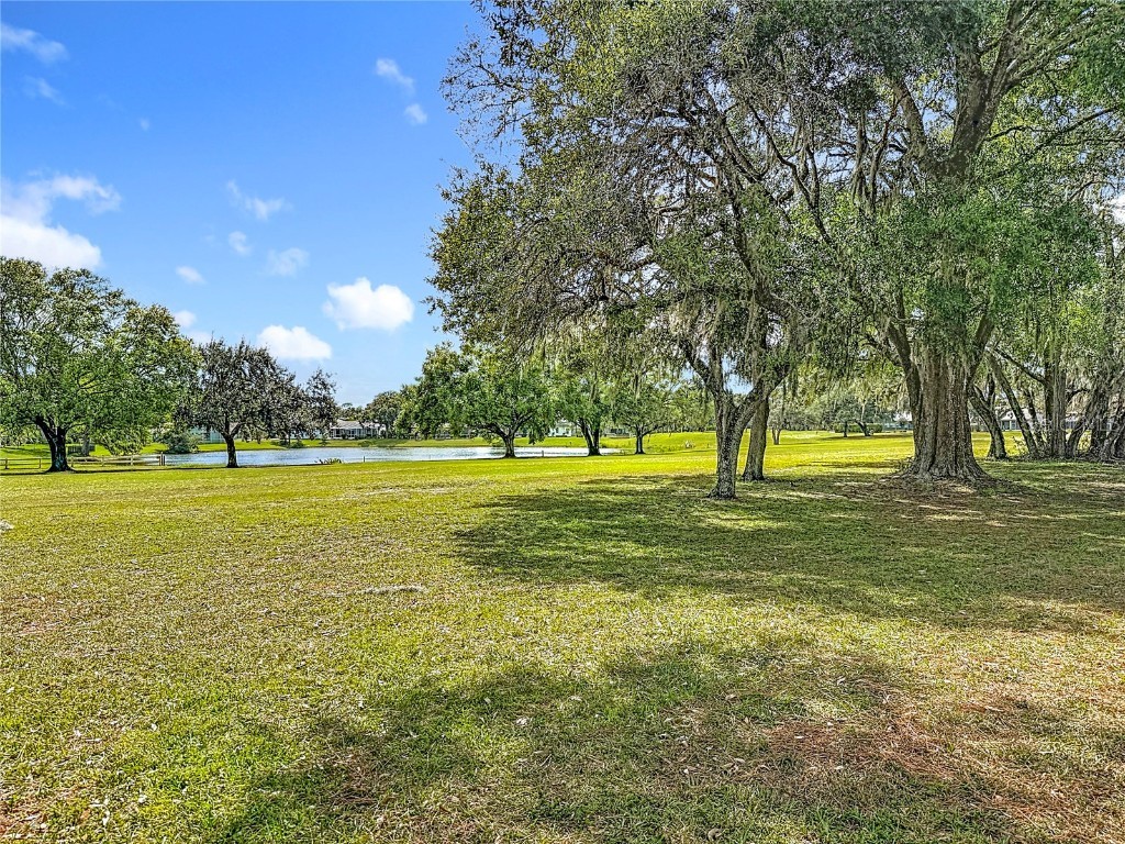 13510 Knotty Lane Hudson FL 34669 W7879812 image63