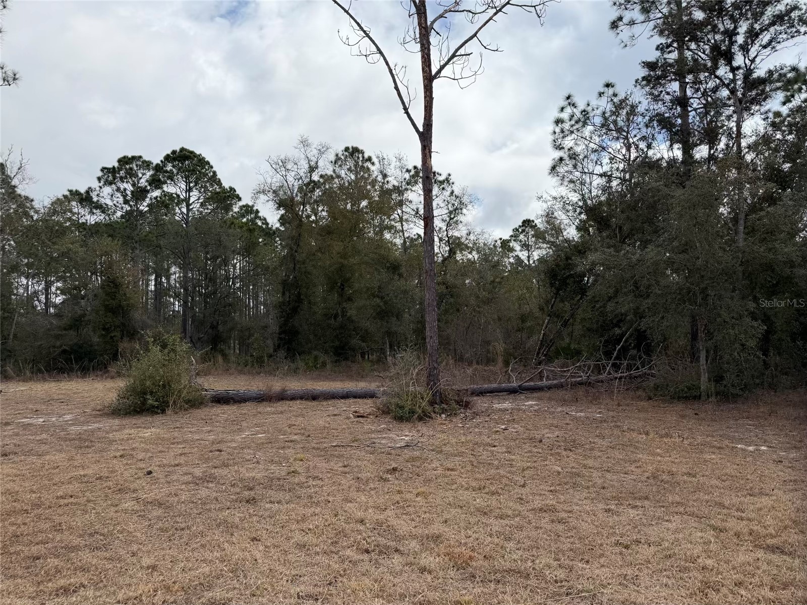 13510 N Gulf Manor Perry FL 32348 GC537892 image23