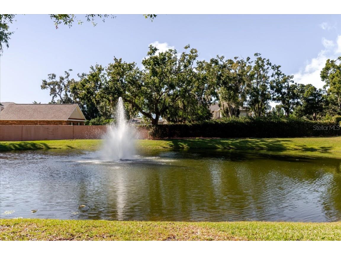 13510 Westshire Drive Tampa FL 33618 TB8448568 image95