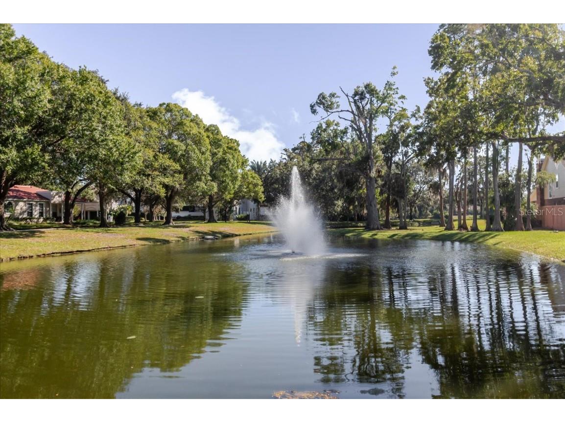 13510 Westshire Drive Tampa FL 33618 TB8448568 image96