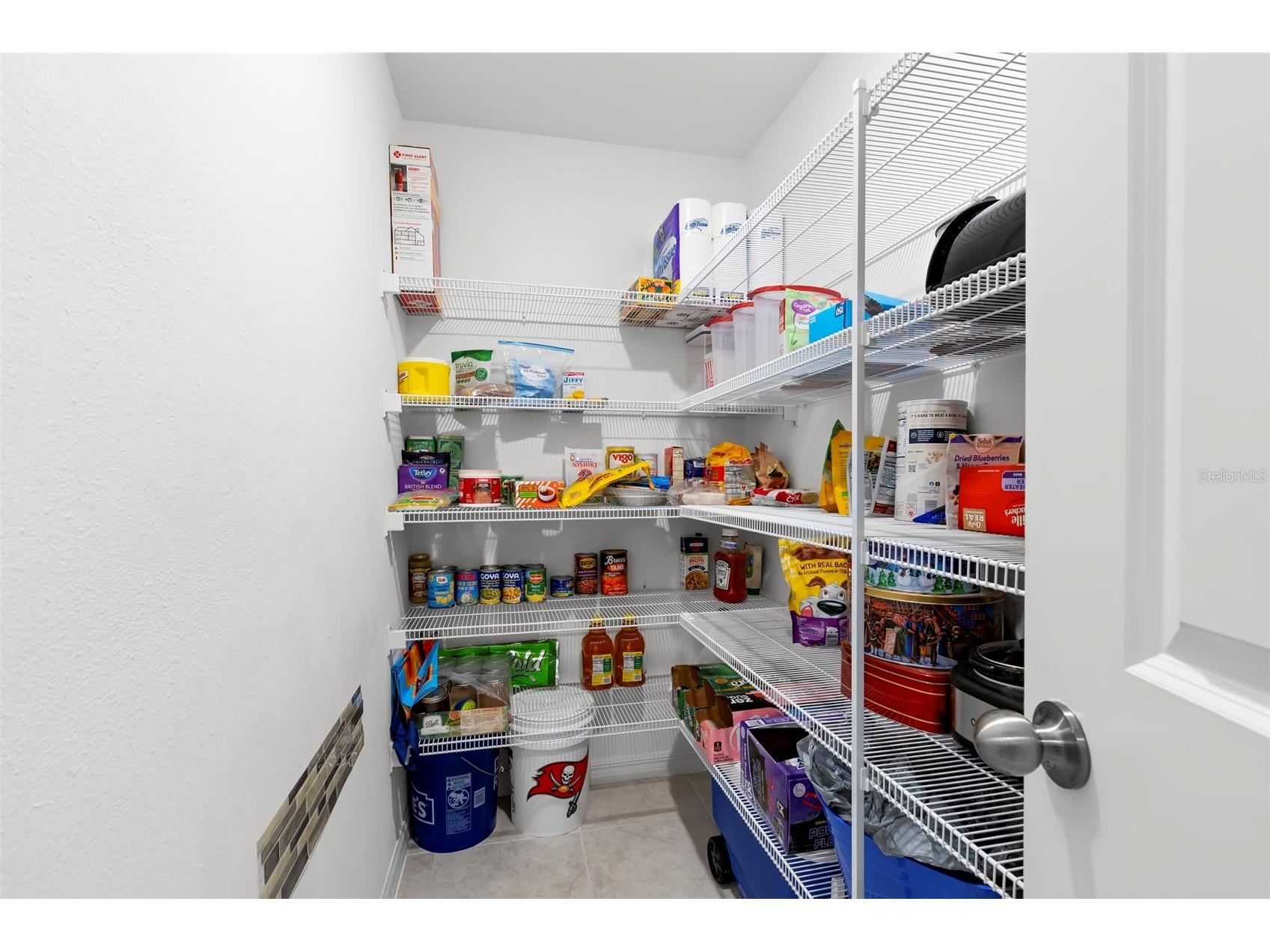 13511 Willow Bluestar Loop Riverview FL 33579 TB8506583 image10