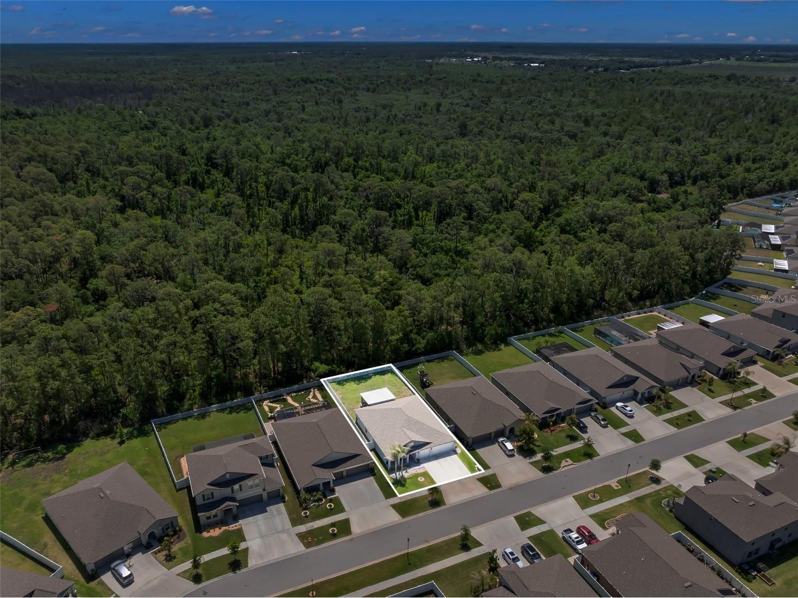 13511 Willow Bluestar Loop Riverview FL 33579 TB8506583 image37