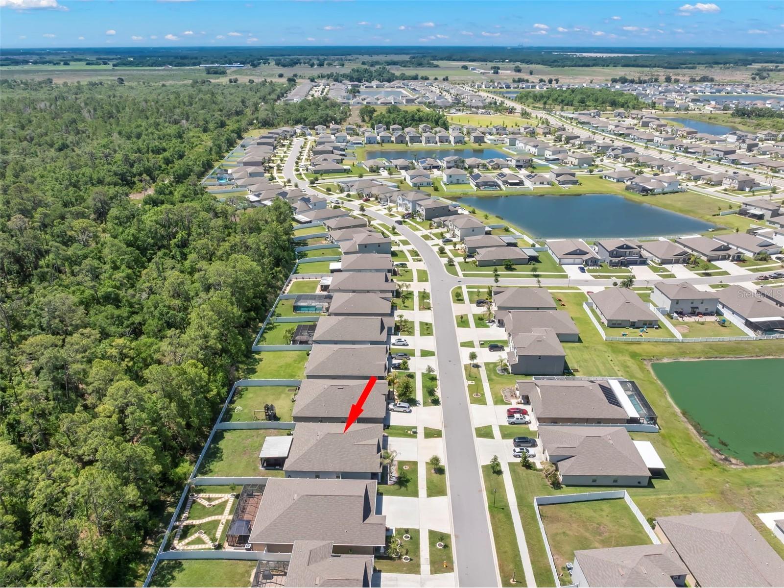 13511 Willow Bluestar Loop Riverview FL 33579 TB8506583 image41