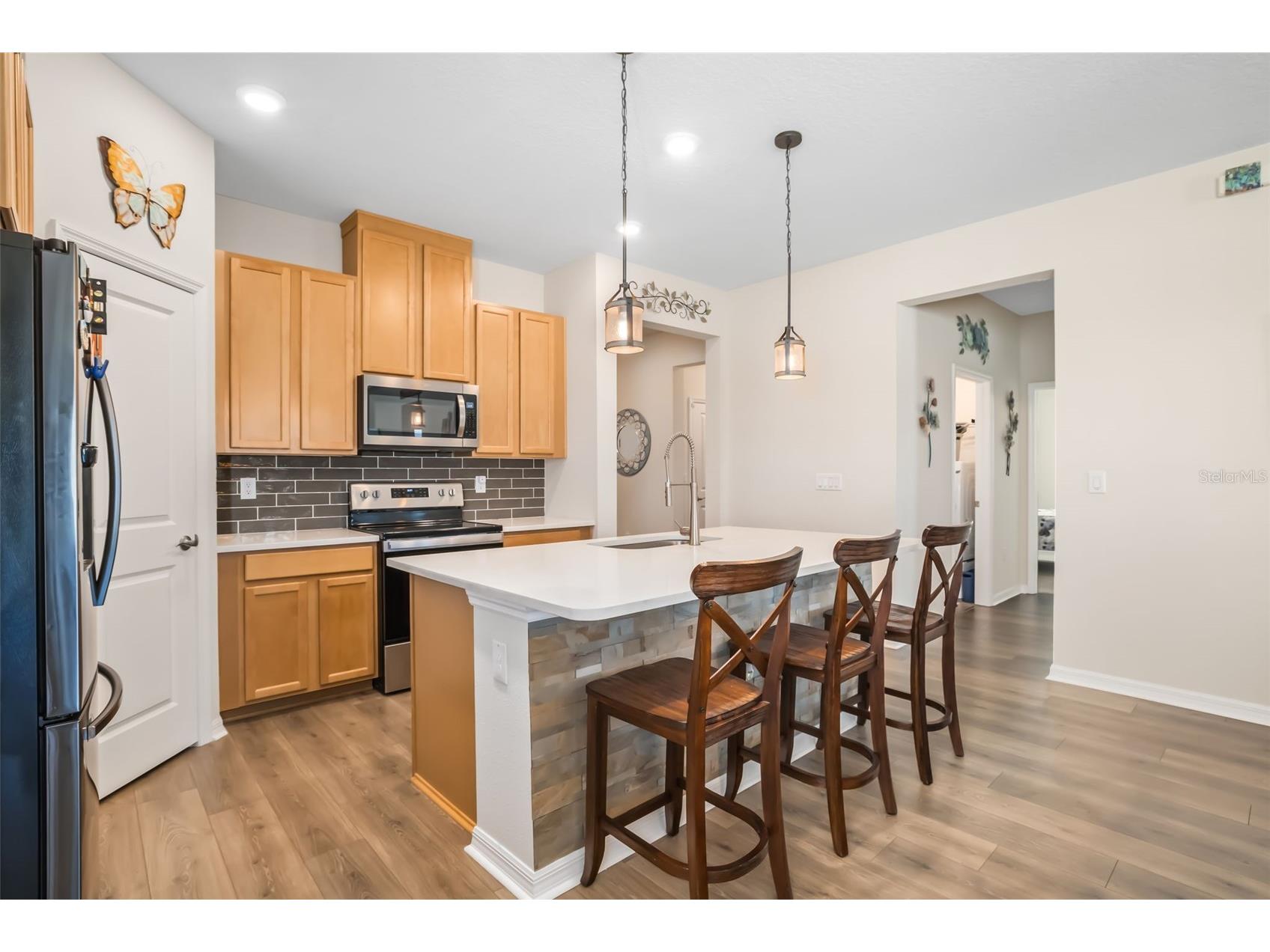 13512 Palmera Vista Drive Riverview FL 33579 A4697411 image11