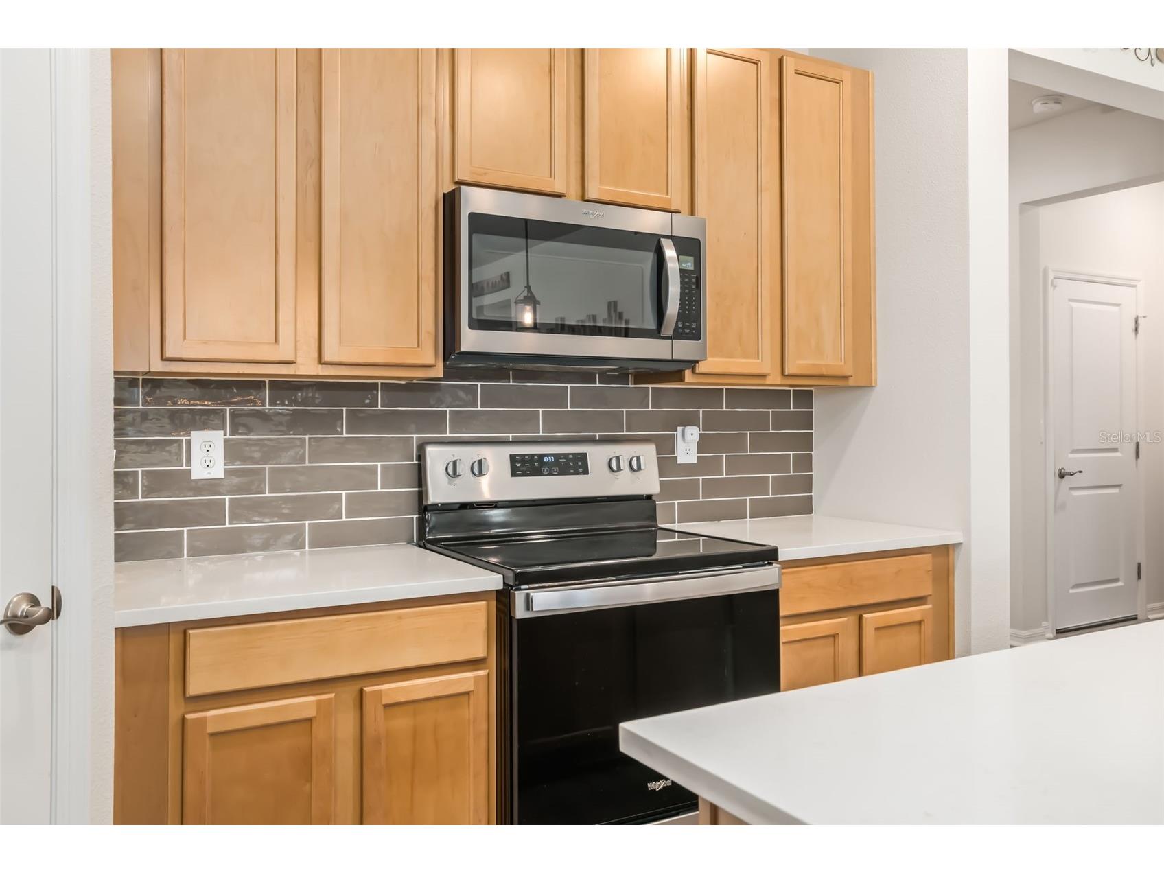 13512 Palmera Vista Drive Riverview FL 33579 A4697411 image12