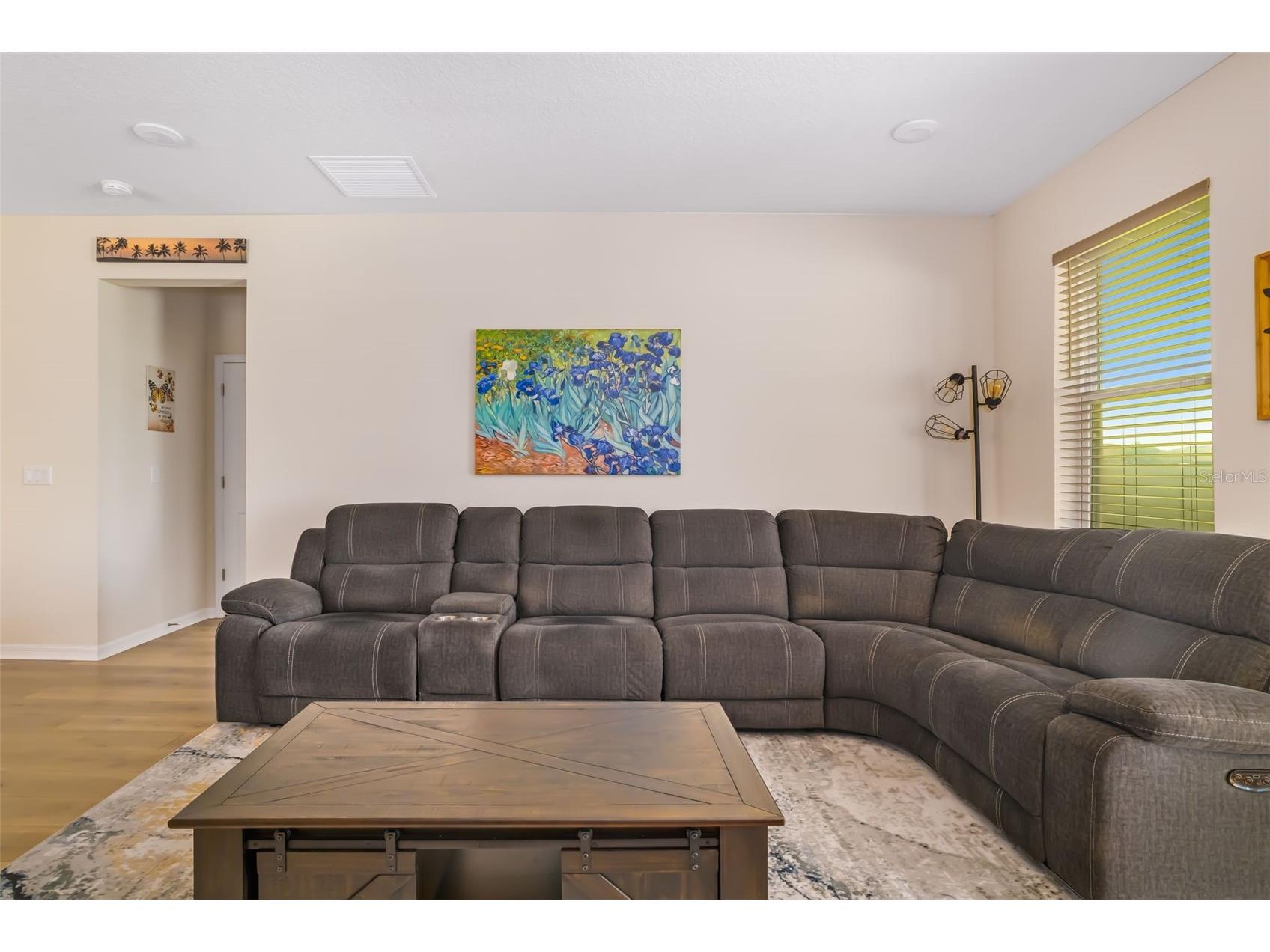 13512 Palmera Vista Drive Riverview FL 33579 A4697411 image16