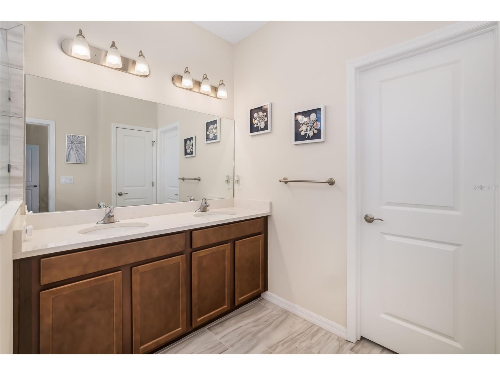 13512 Palmera Vista Drive Riverview FL 33579 A4697411 image21