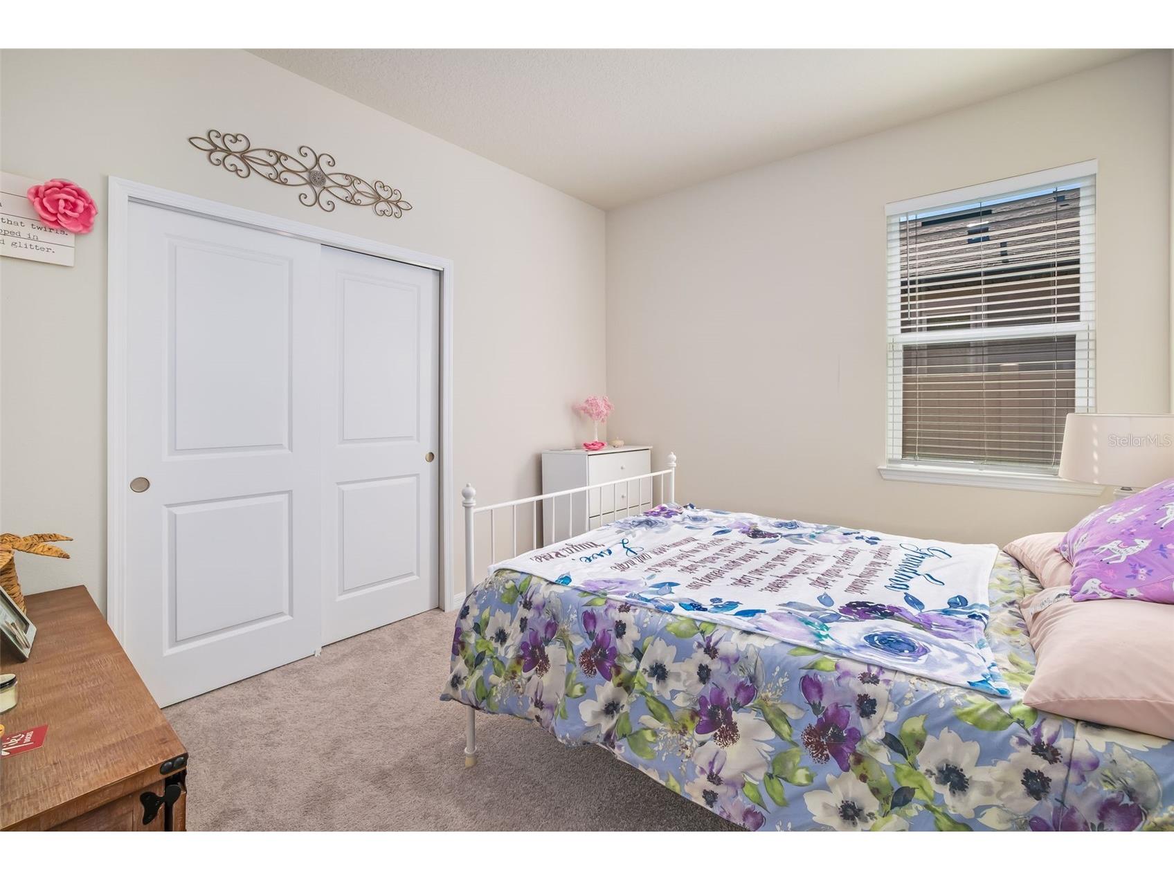 13512 Palmera Vista Drive Riverview FL 33579 A4697411 image27