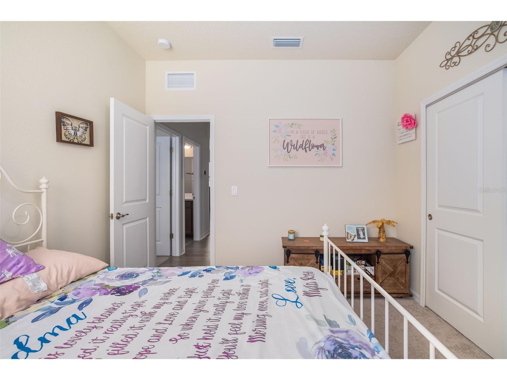13512 Palmera Vista Drive Riverview FL 33579 A4697411 image28