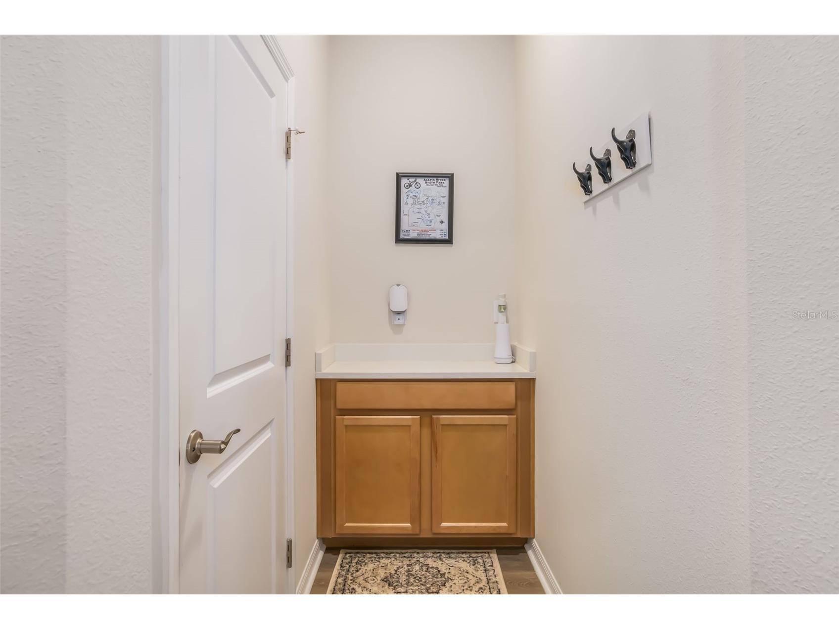 13512 Palmera Vista Drive Riverview FL 33579 A4697411 image32