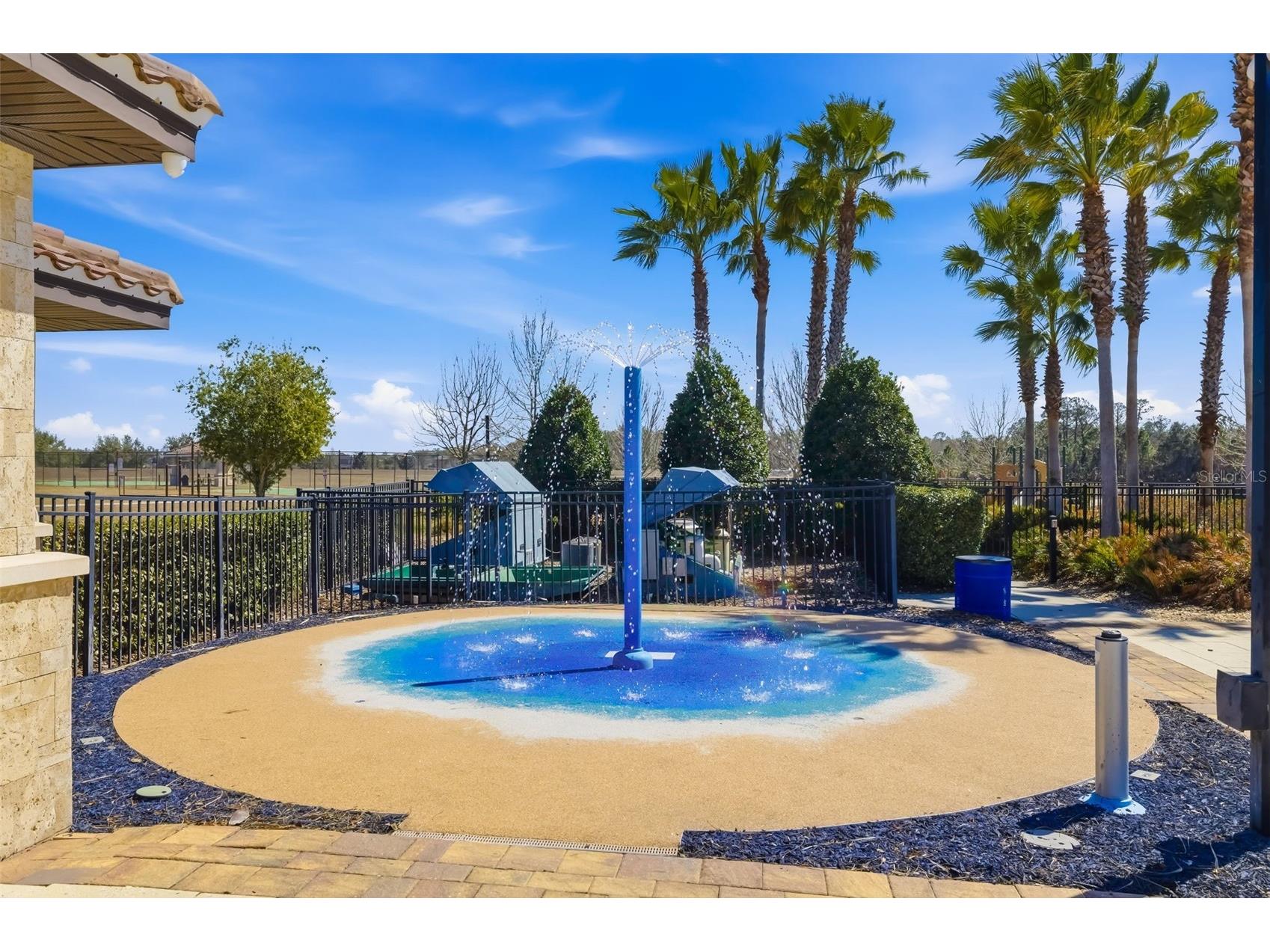 13512 Palmera Vista Drive Riverview FL 33579 A4697411 image47