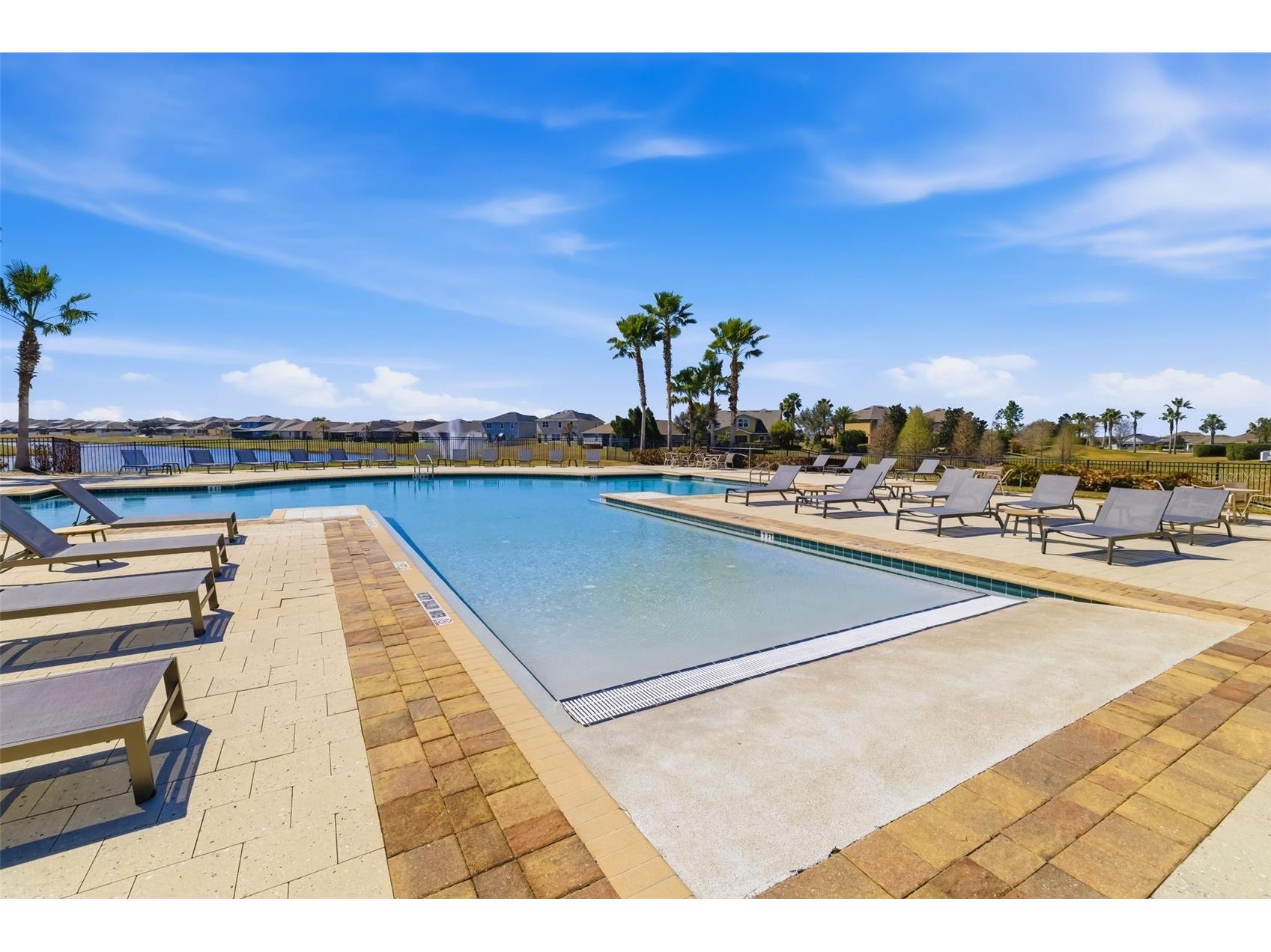 13512 Palmera Vista Drive Riverview FL 33579 A4697411 image48
