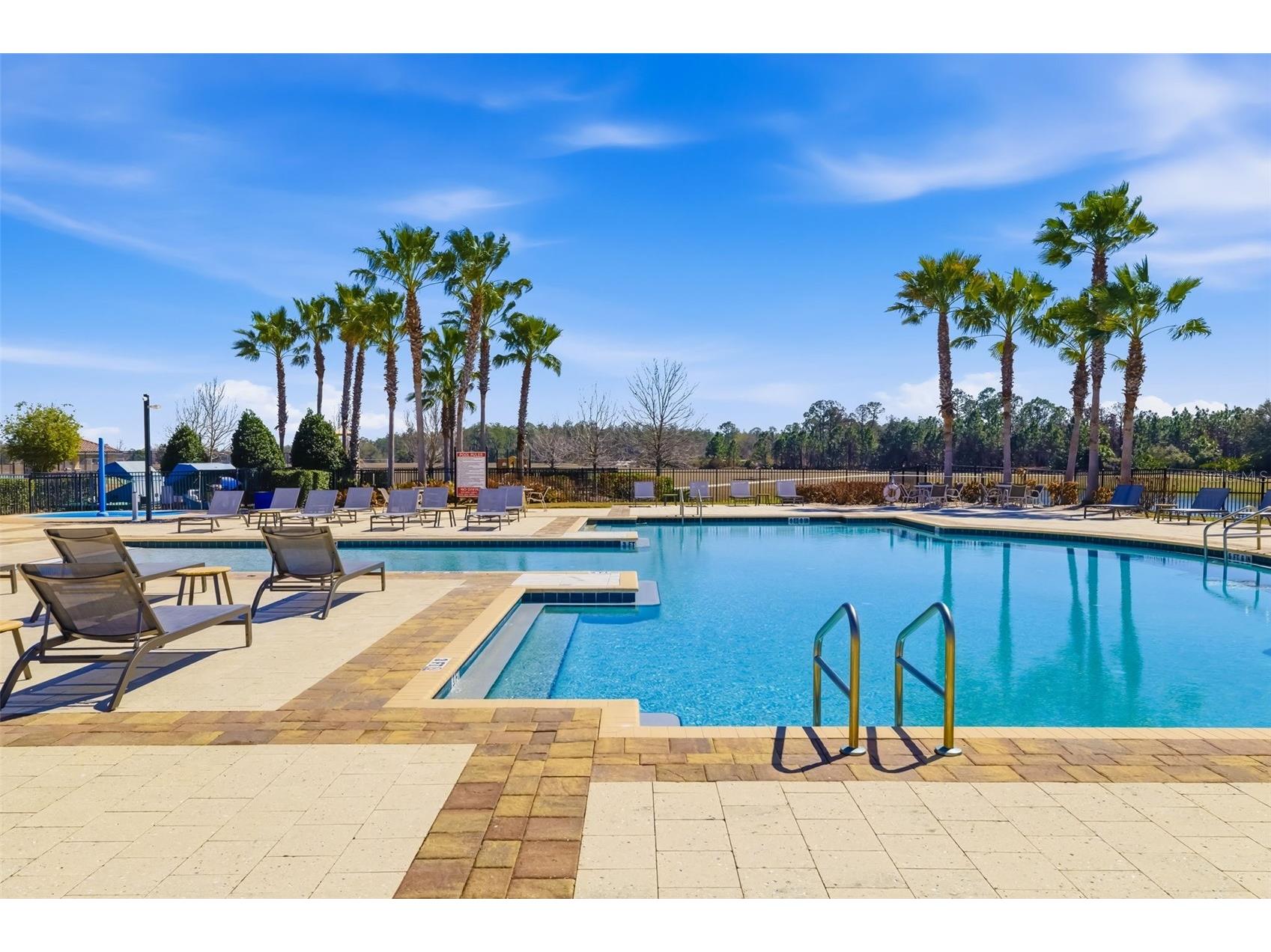 13512 Palmera Vista Drive Riverview FL 33579 A4697411 image50