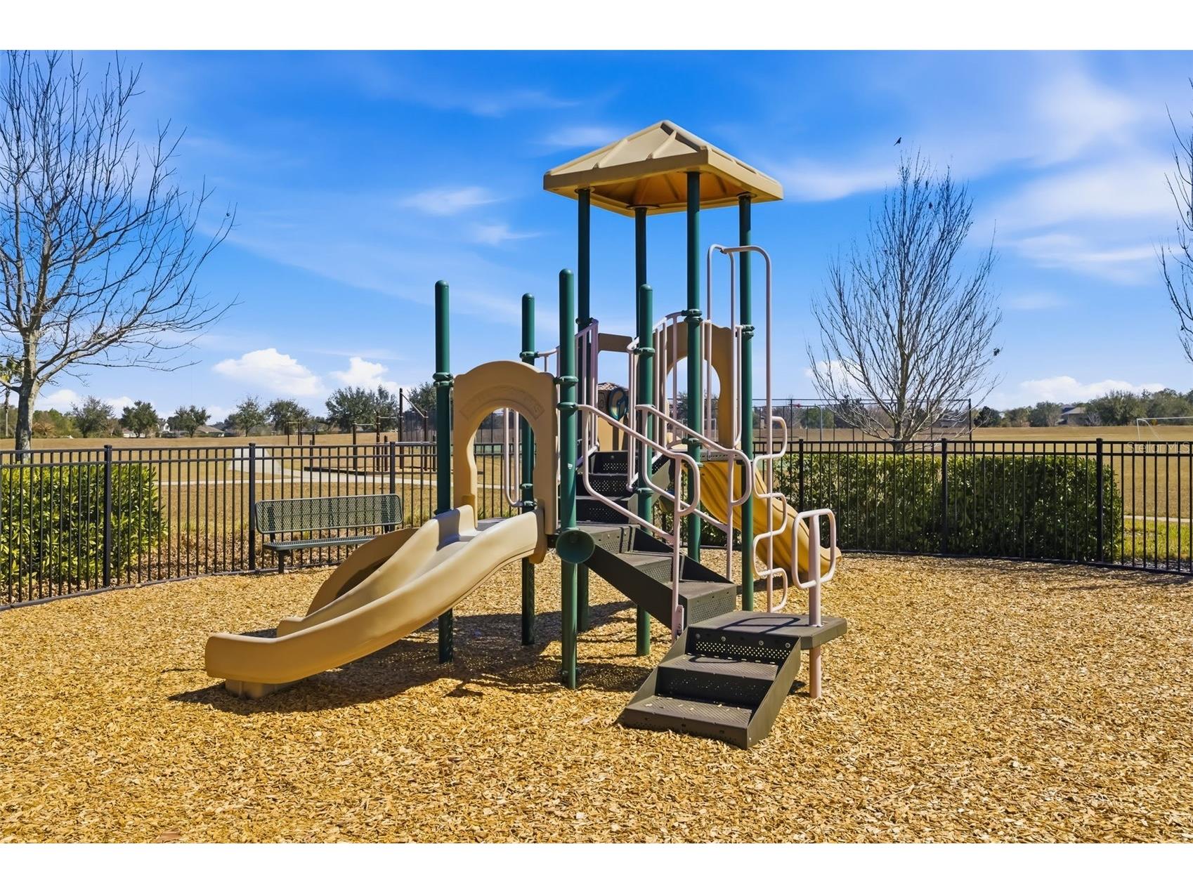 13512 Palmera Vista Drive Riverview FL 33579 A4697411 image55
