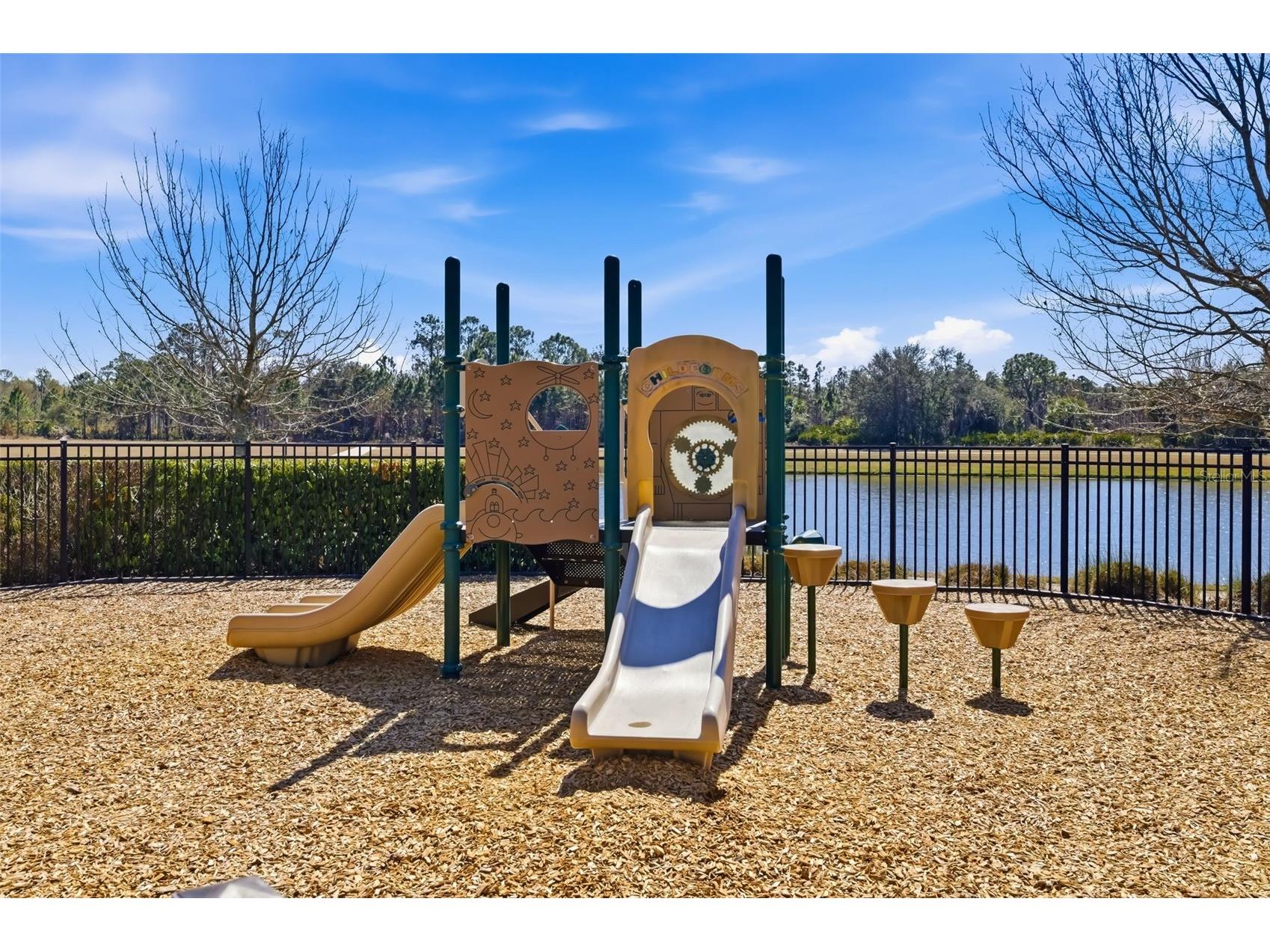 13512 Palmera Vista Drive Riverview FL 33579 A4697411 image56