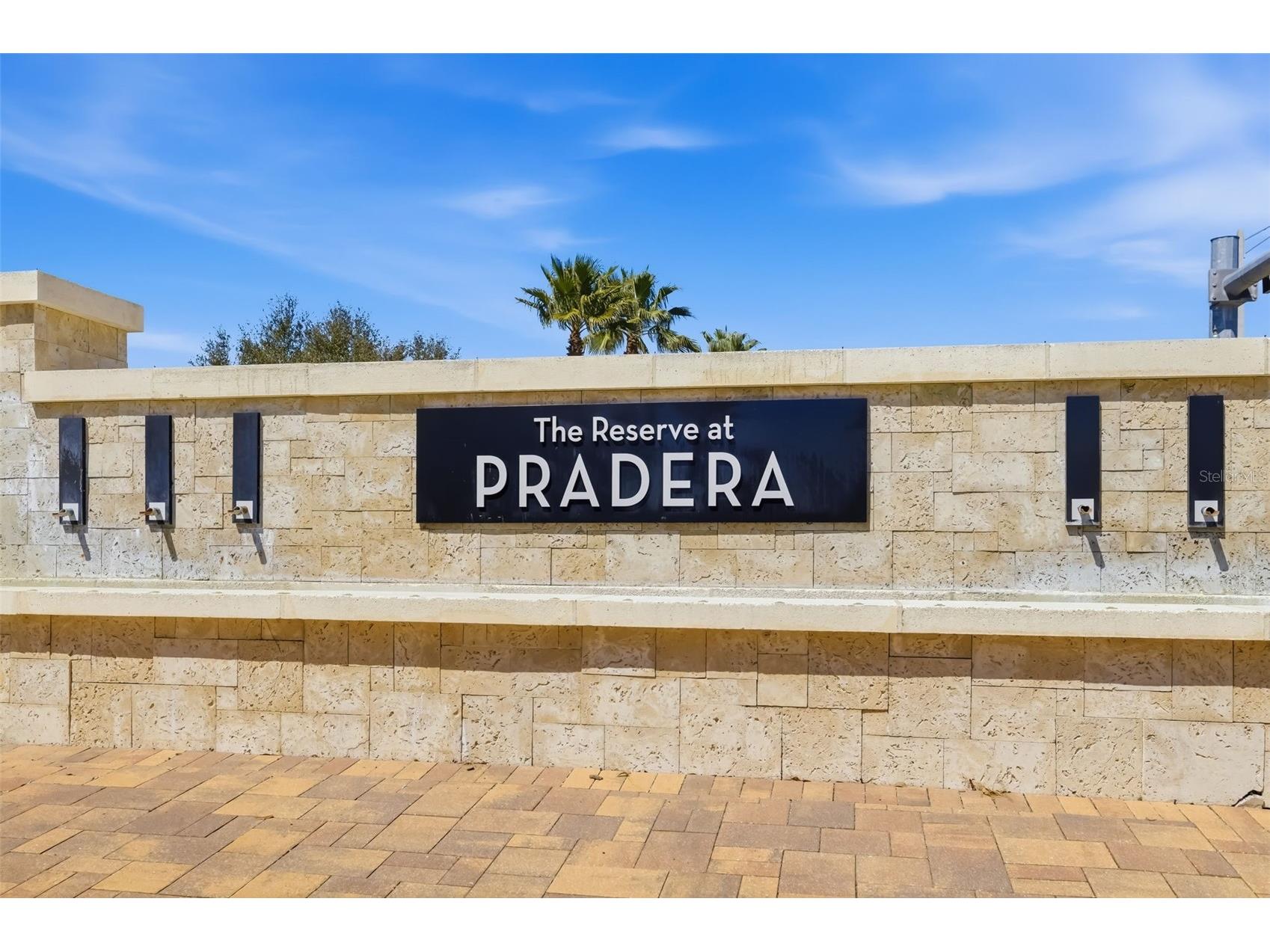 13512 Palmera Vista Drive Riverview FL 33579 A4697411 image62