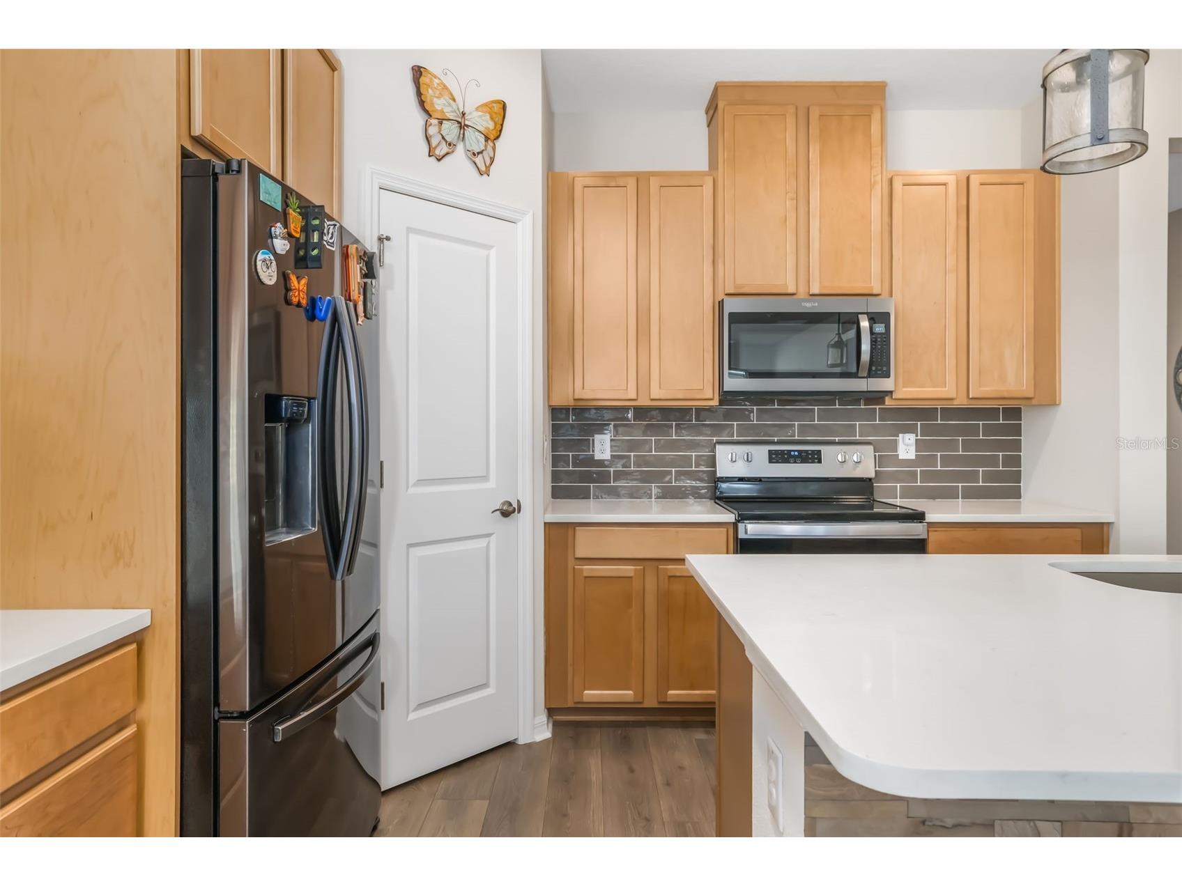 13512 Palmera Vista Drive Riverview FL 33579 A4697411 image8