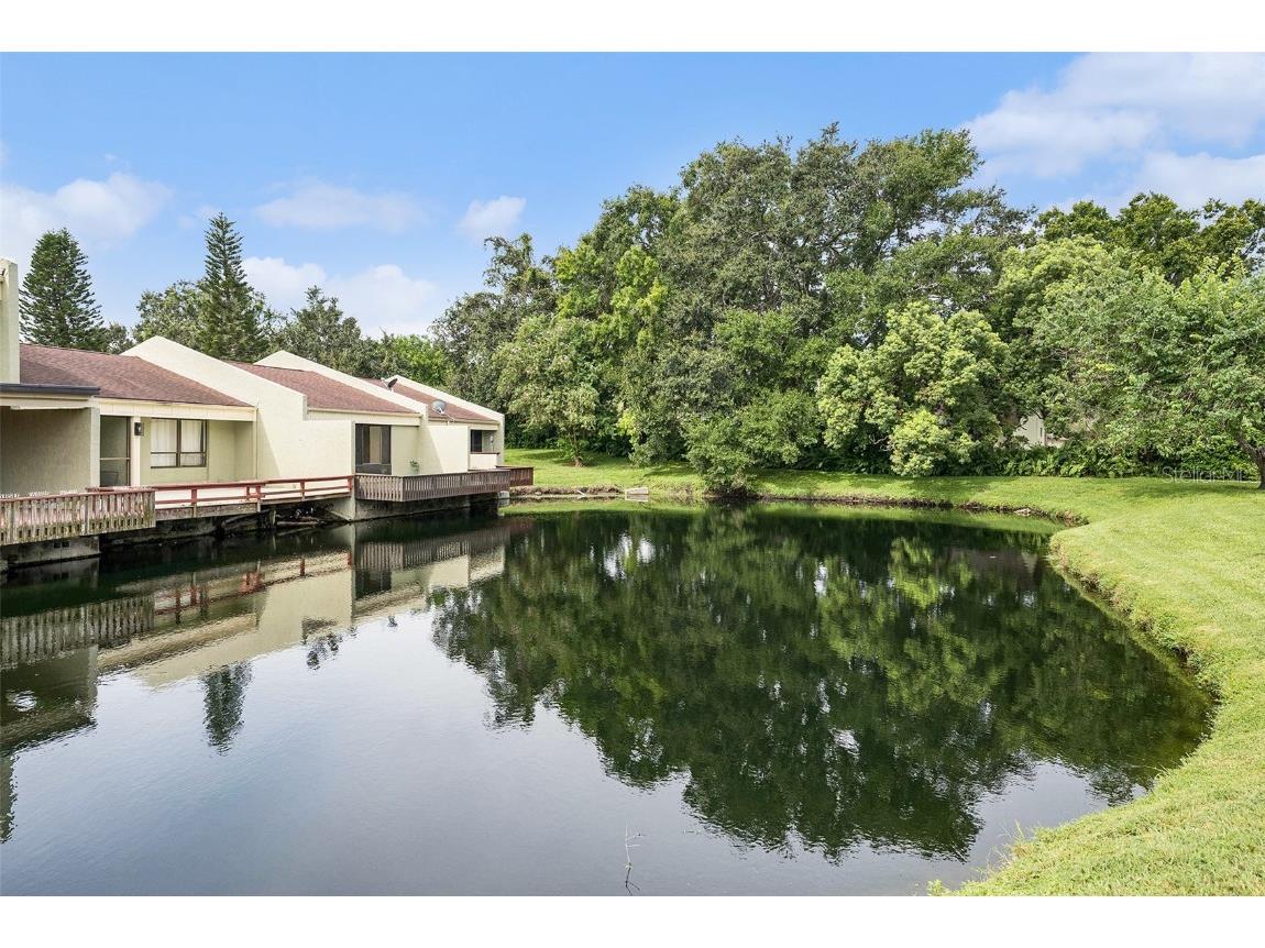 13512 Palmwood Lane Tampa FL 33618 TB8425601 image21