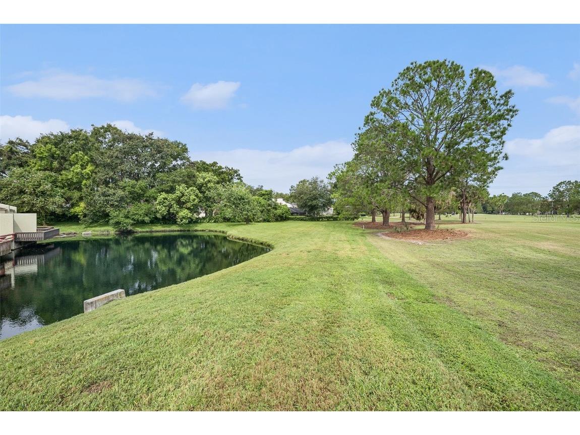 13512 Palmwood Lane Tampa FL 33618 TB8425601 image22