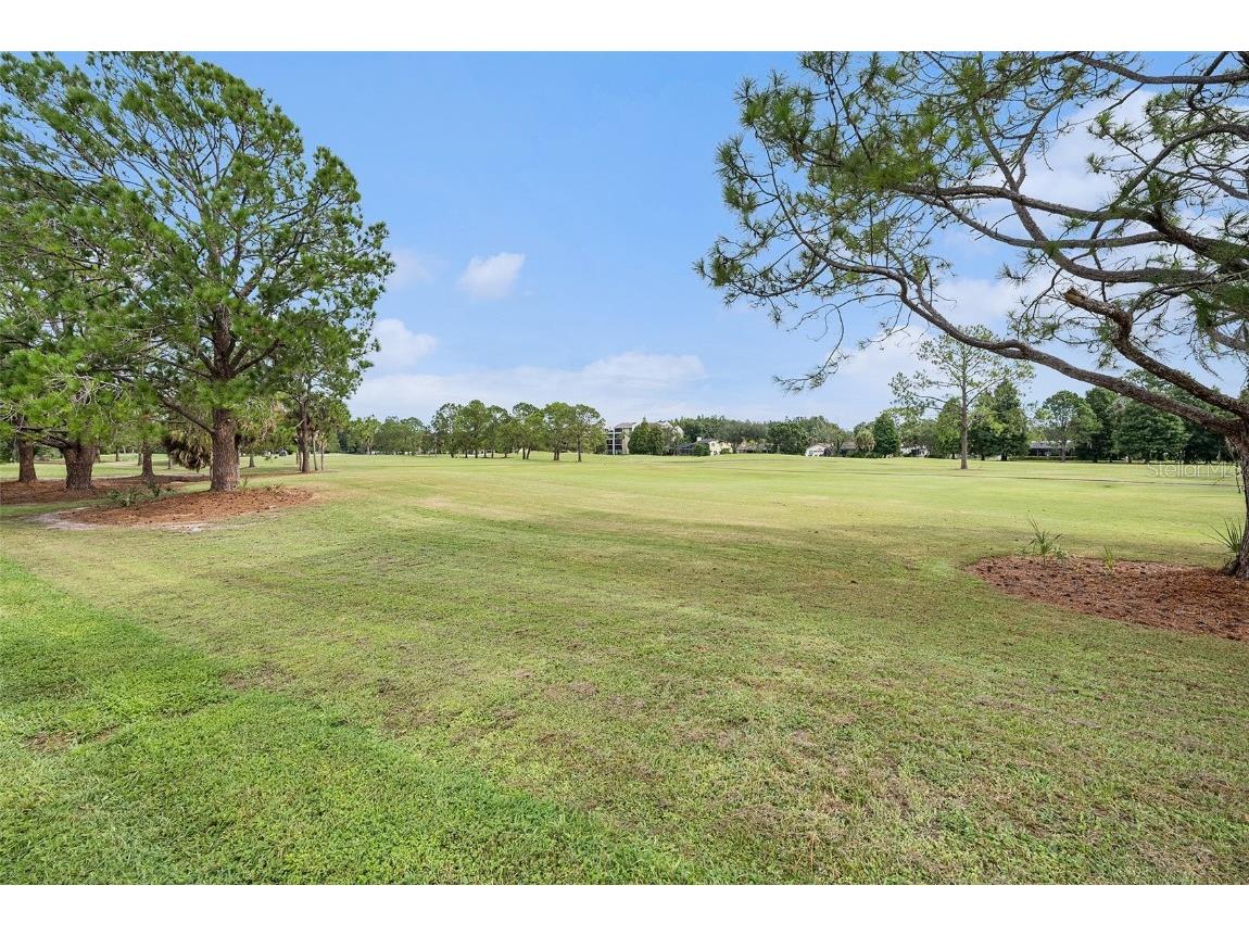 13512 Palmwood Lane Tampa FL 33618 TB8425601 image23