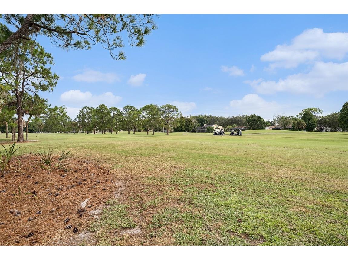 13512 Palmwood Lane Tampa FL 33618 TB8425601 image24