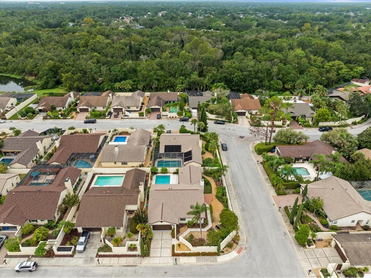 13512 Sobrado Drive Tampa FL 33624 TB8504618 image54