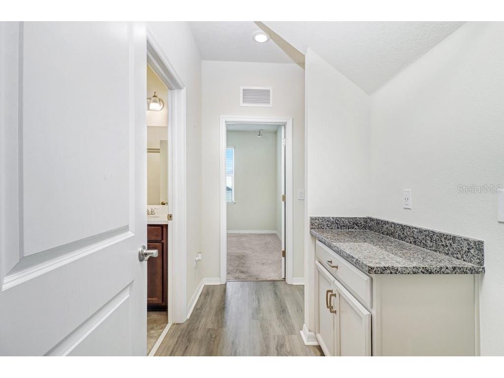 13514 Palmera Vista Drive Riverview FL 33579 TB8518784 image19