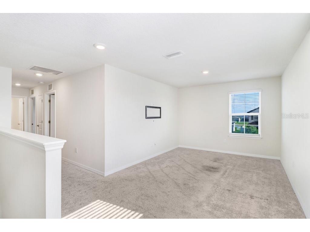 13514 Palmera Vista Drive Riverview FL 33579 TB8518784 image20