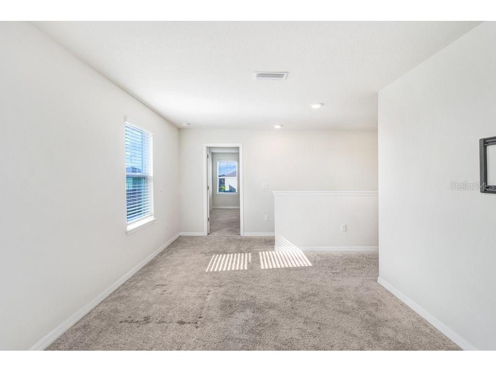 13514 Palmera Vista Drive Riverview FL 33579 TB8518784 image22
