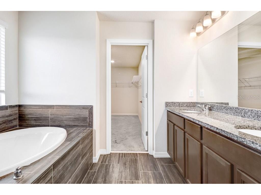 13514 Palmera Vista Drive Riverview FL 33579 TB8518784 image26