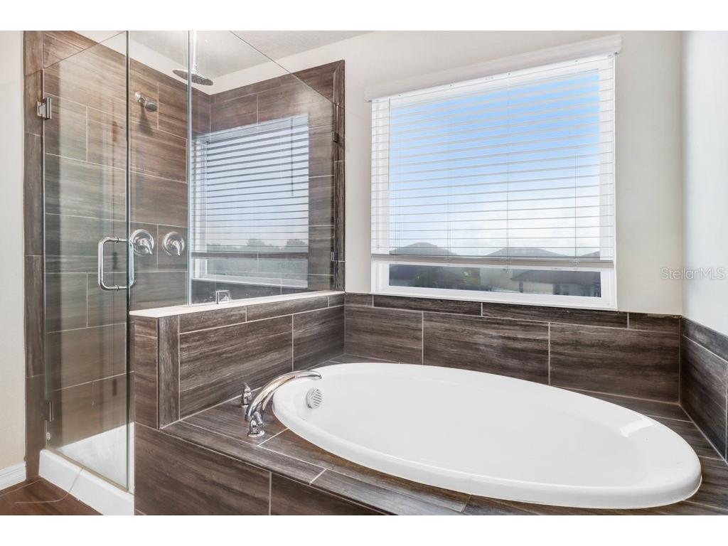 13514 Palmera Vista Drive Riverview FL 33579 TB8518784 image28