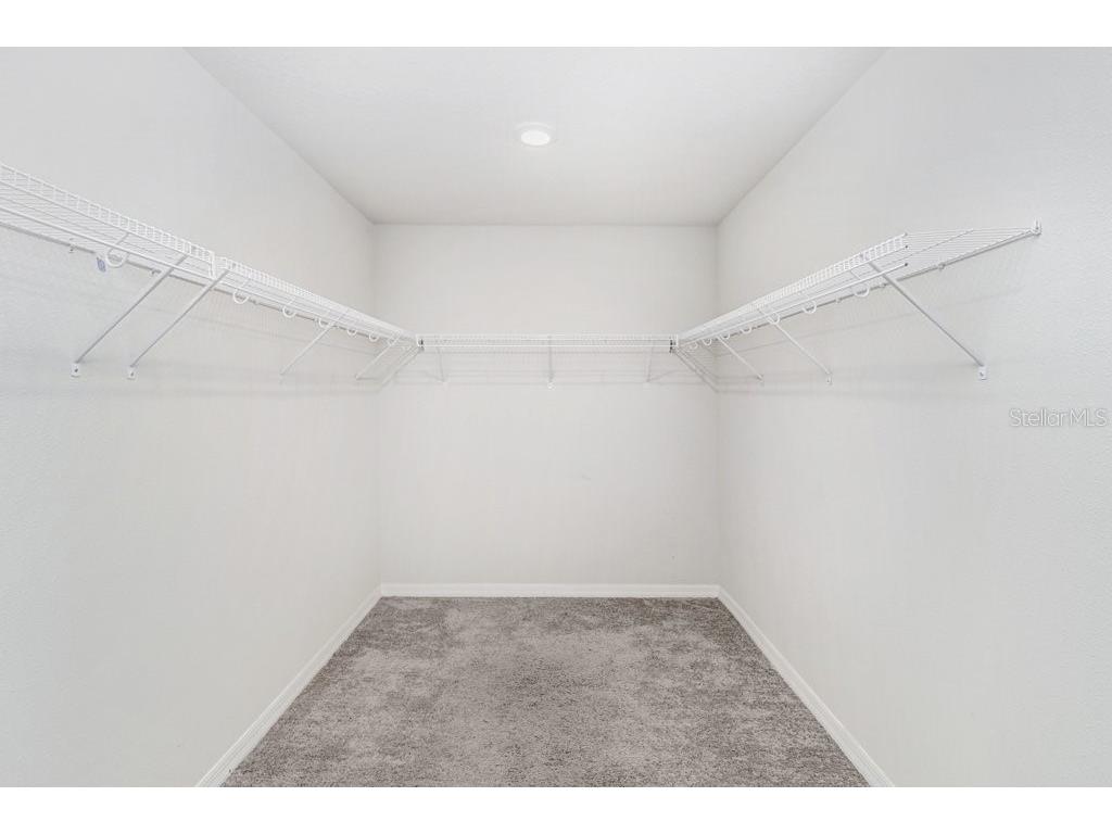 13514 Palmera Vista Drive Riverview FL 33579 TB8518784 image29