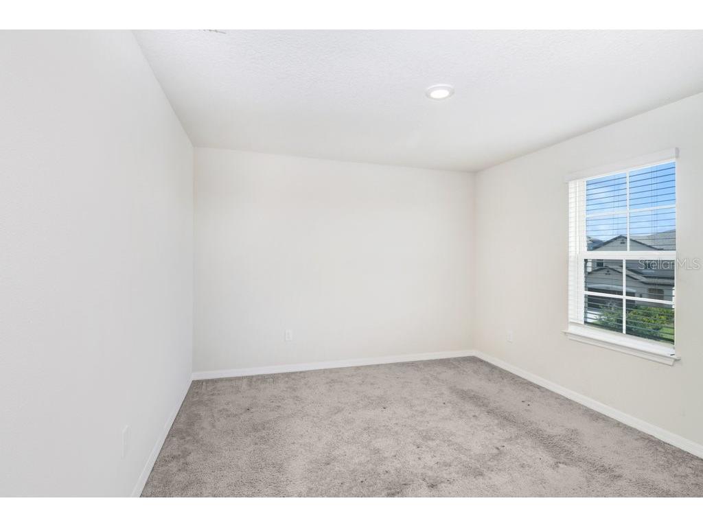 13514 Palmera Vista Drive Riverview FL 33579 TB8518784 image31