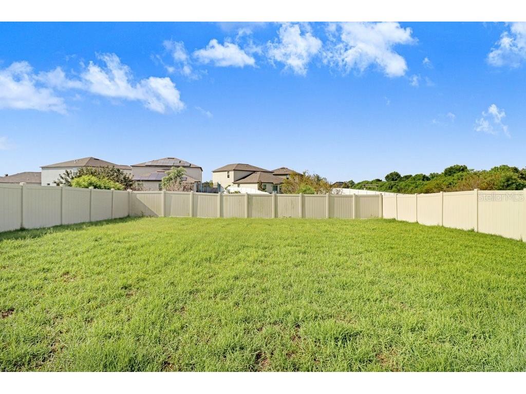 13514 Palmera Vista Drive Riverview FL 33579 TB8518784 image36
