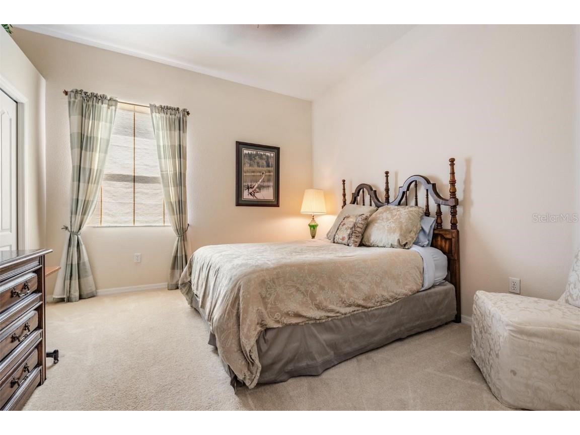 13514 Thoroughbred Drive Dade City FL 33525 TB8440710 image29