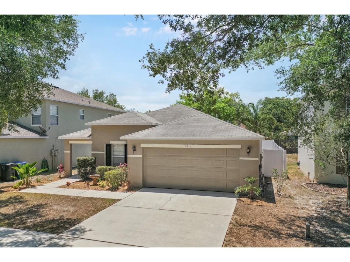 13515 Blue Sunfish Court Riverview FL 33569 T3447680 image1