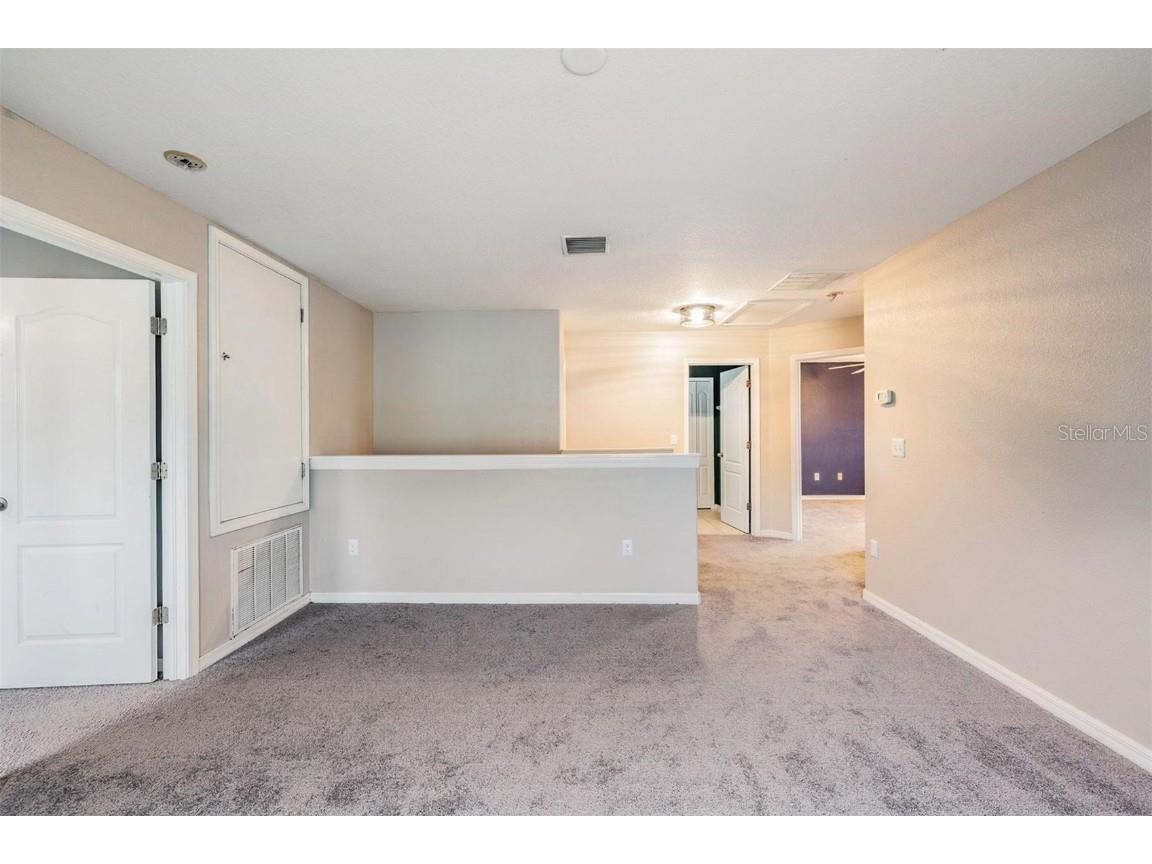 13515 Fladgate Mark Drive Riverview FL 33579 TB8411959 image21