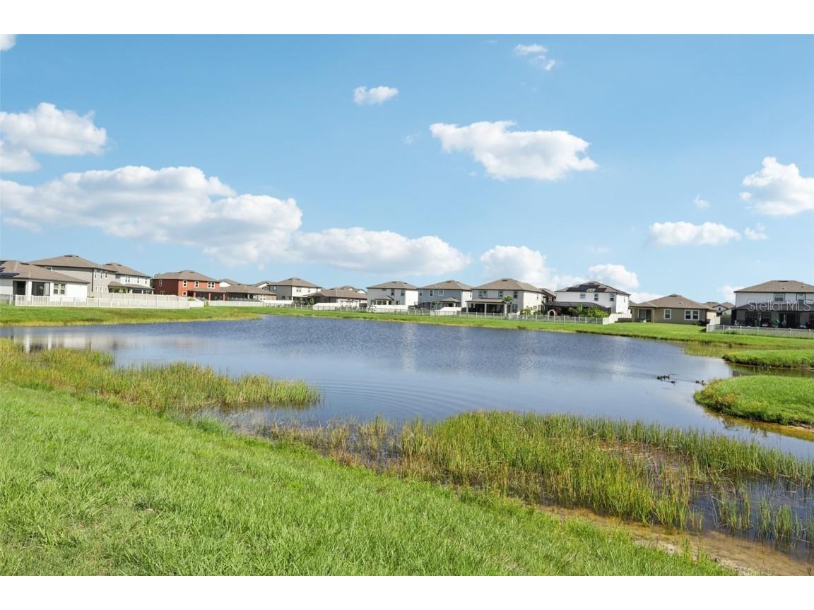 13515 Palmera Vista Drive Riverview FL 33579 TB8396382 image42